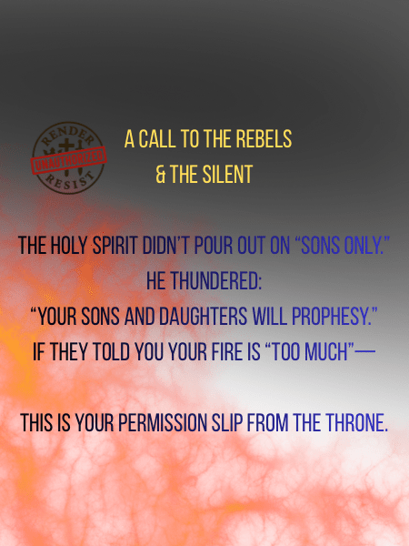 Your Fire Isn’t Too Much: A Holy Spirit Call to the Rebels, the Silent, and the Church That Needs&nbsp;Them