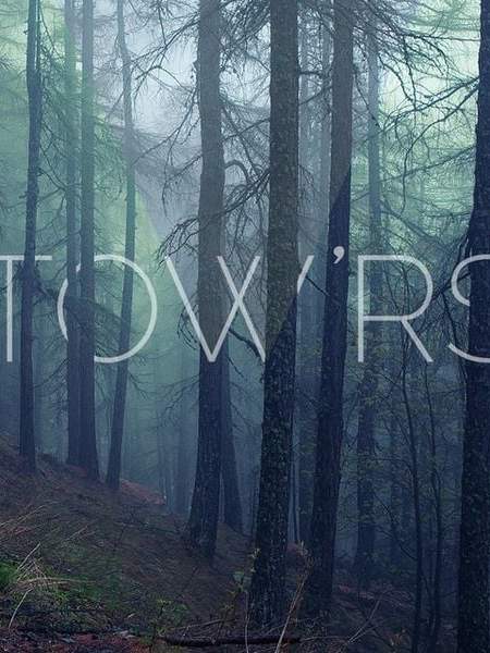 Tow’rs: Belly of the Deepest&nbsp;Love